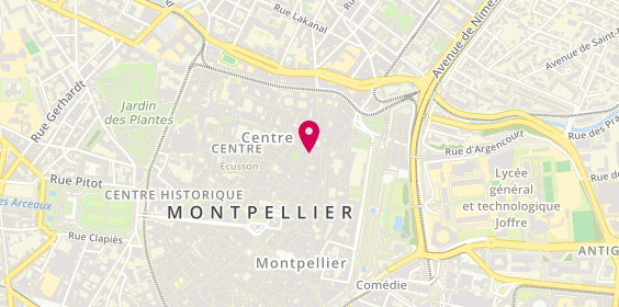 Plan de Wantit, 8 Rue de l'École de Pharmacie, 34000 Montpellier