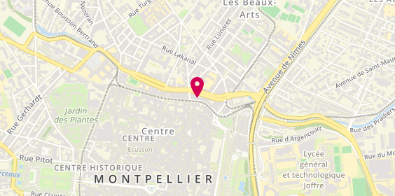 Plan de Léon le Caméléon, 17 Boulevard Louis Blanc, 34000 Montpellier