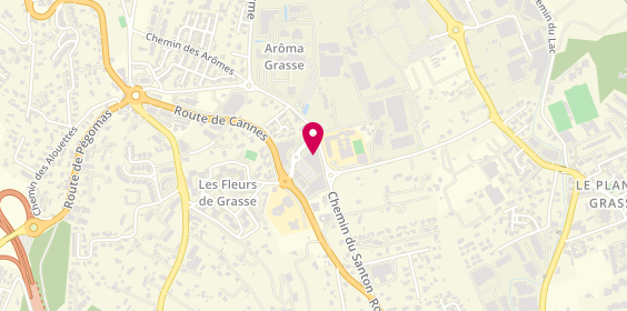 Plan de La Foir'fouille, Route de Cannes, 06130 Grasse