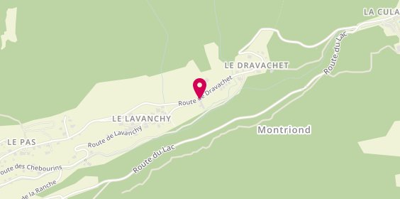 Plan de Les Sculpteurs du Lac, 1050 Route du Dravachet, 74110 Montriond