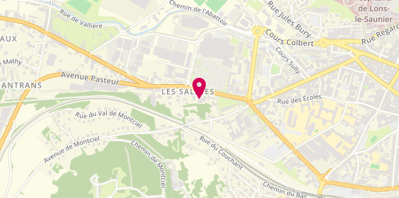 Plan de Grand Litier, 85 Rue des Salines, 39570 Montmorot
