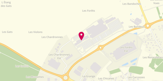 Plan de La Foirfouille, Rue des Chardonnes, 41200 Romorantin-Lanthenay