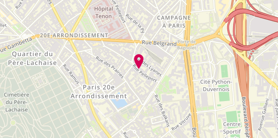 Plan de Pachyderme, 20 Rue Pelleport, 75020 Paris